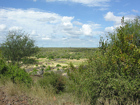 Landschaften - Limpopo