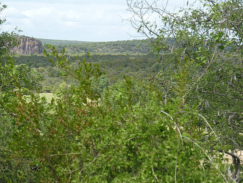 Landschaften - Limpopo