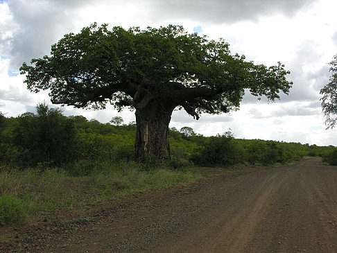 Straßen - Limpopo