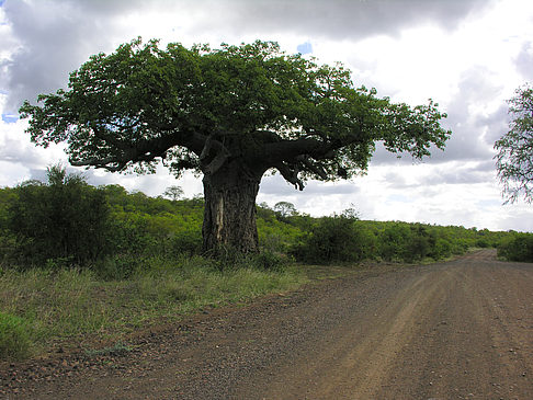 Straßen - Limpopo