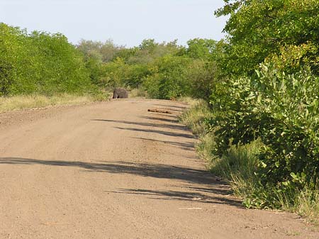 Straßen - Limpopo