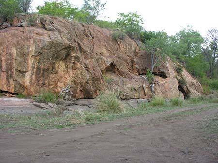 Straßenränder - Limpopo