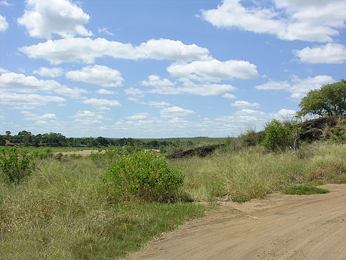 Straßenränder - Limpopo