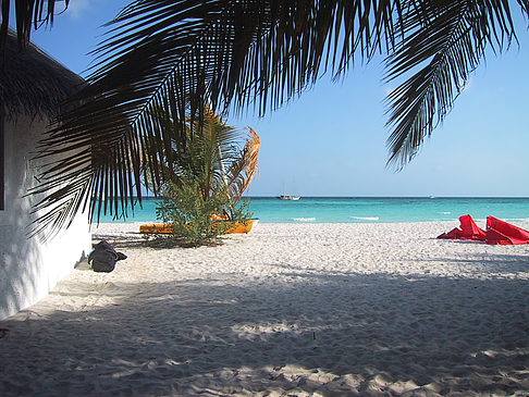 Foto Der weiße Sandstrand der Malediven