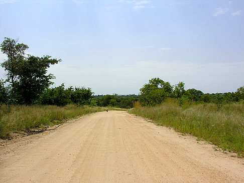 Straßen - Mpumalanga