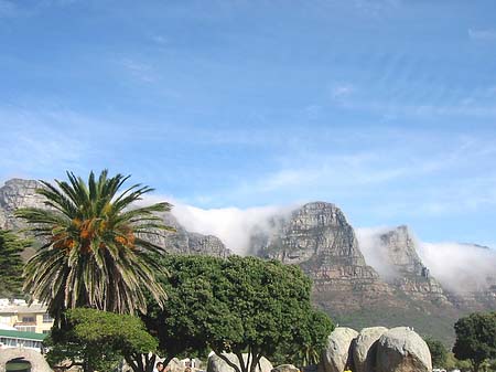 Der Tafelberg - Westliches Kap